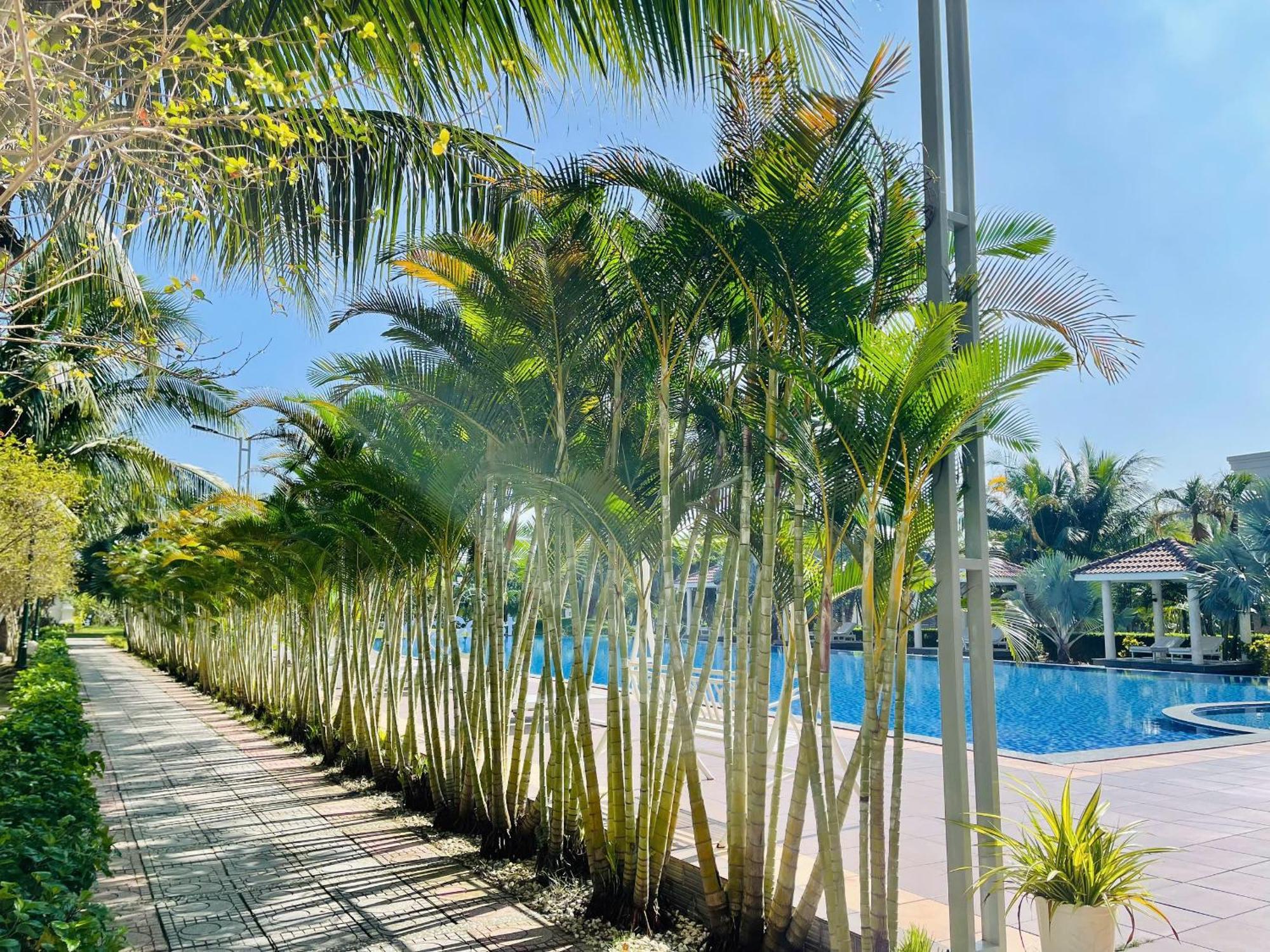 Gold Coast Hotel Resort & Spa Dong Hoi Exterior photo